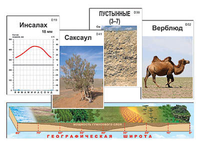 Модель-аппликация природных зон Земли: купить с доставкой по России