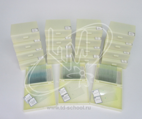 2.22.67. �������� ��������������� �� �������� (����������� �������)