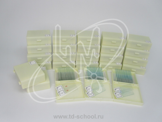 �������� ��������������� "�������� 2 - ����" (�� 20 ��������)