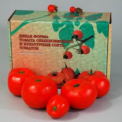 Набор муляжей &quot;Дикая форма и культурные сорта томатов&quot;